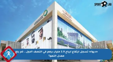 «ديوا» تسجل ارتفاع أرباح 2.9 مليار درهم في النصف الأول.. كم بلغ معدل النمو؟